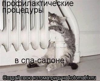 профилактические процедуры в спа-салоне... Котоматрица: профилактические процедуры в спа-салоне