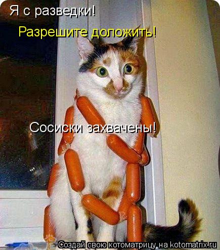 Я с разведки! Разрешите доложить! Сосиски захвачены!... Котоматрица: Я с разведки! Разрешите доложить! Сосиски захвачены!