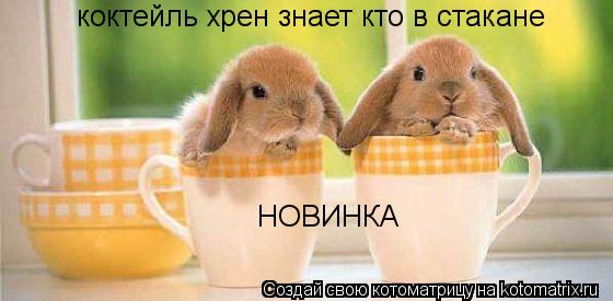 коктейль хрен знает кто в стакане НОВИНКА... Котоматрица: коктейль хрен знает кто в стакане НОВИНКА