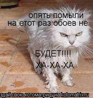 опять помыли на етот раз обоев не БУДЕТ!!!! ХА-ХА-ХА... Котоматрица: опять помыли на етот раз обоев не БУДЕТ!!!! ХА-ХА-ХА