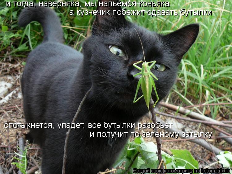 и тогда, наверняка, мы напьёмся коньяка а кузнечик побежит сдавать бутылки спотыкнется, упадет, все ... Котоматрица: и тогда, наверняка, мы напьёмся коньяка а кузнечик побежит сдавать бутылки спотыкнется, упадет, все бутылки разобьет и получит по зеленому