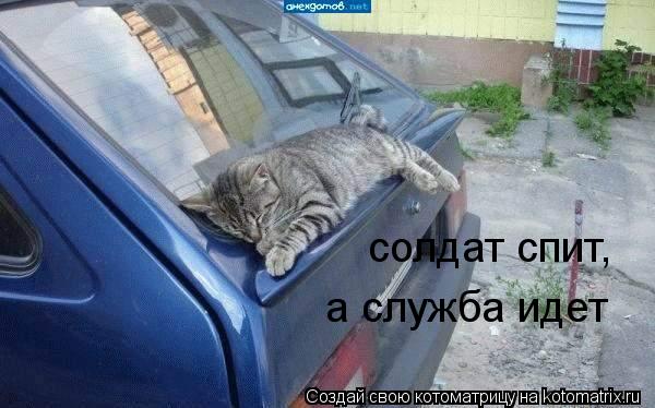 солдат спит, а служба идет... Котоматрица: солдат спит, а служба идет