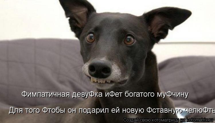 Фимпатичная девуФка иФет богатого муФчину Для того Фтобы он подарил ей новую Фставную челюФть!... Котоматрица: Фимпатичная девуФка иФет богатого муФчину Для того Фтобы он подарил ей новую Фставную челюФть!