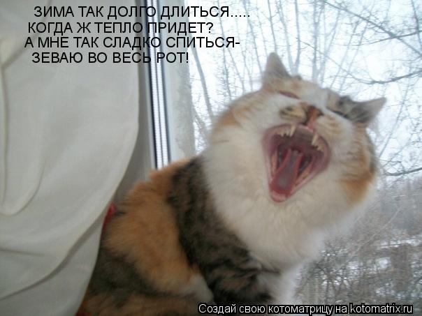 ЗИМА ТАК ДОЛГО ДЛИТЬСЯ..... КОГДА Ж ТЕПЛО ПРИДЕТ? А МНЕ ТАК СЛАДКО СПИТЬСЯ- ЗЕВАЮ ВО ВЕСЬ РОТ!... Котоматрица: ЗИМА ТАК ДОЛГО ДЛИТЬСЯ..... КОГДА Ж ТЕПЛО ПРИДЕТ? А МНЕ ТАК СЛАДКО СПИТЬСЯ- ЗЕВАЮ ВО ВЕСЬ РОТ!