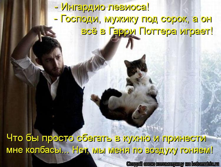 - Ингардио левиоса! - Господи, мужику под сорок, а он всё в Гарри Поттера играет! Что бы просто сбега... Котоматрица: - Ингардио левиоса! - Господи, мужику под сорок, а он всё в Гарри Поттера играет! Что бы просто сбегать в кухню и принести мне колбасы... Нет, мы