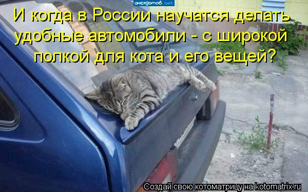 Котоматрица: И когда в России научатся делать удобные автомобили - с широкой полкой для кота и его вещей?