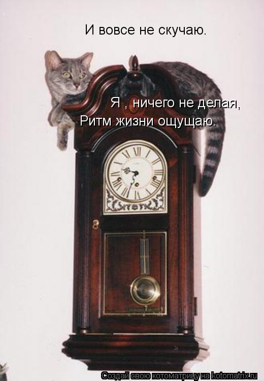 Я , ничего не делая, Ритм жизни ощущаю. И вовсе не скучаю.... Котоматрица: Я , ничего не делая, Ритм жизни ощущаю. И вовсе не скучаю.