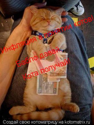 Котоматрица: Инфляция в понятии котов! Бабло давай, Кота получай!