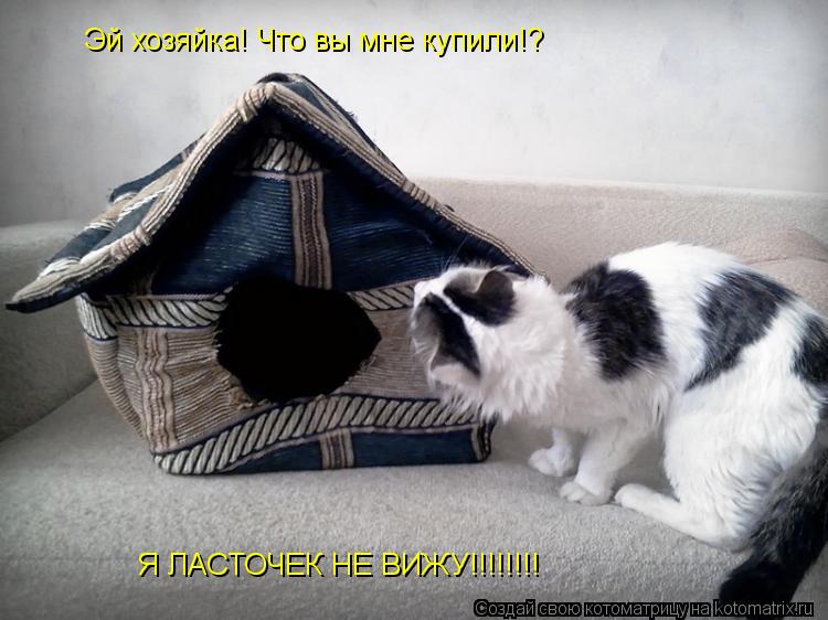 Котоматрица: Эй хозяйка! Что вы мне купили!?  Я ЛАСТОЧЕК НЕ ВИЖУ!!!!!!!!