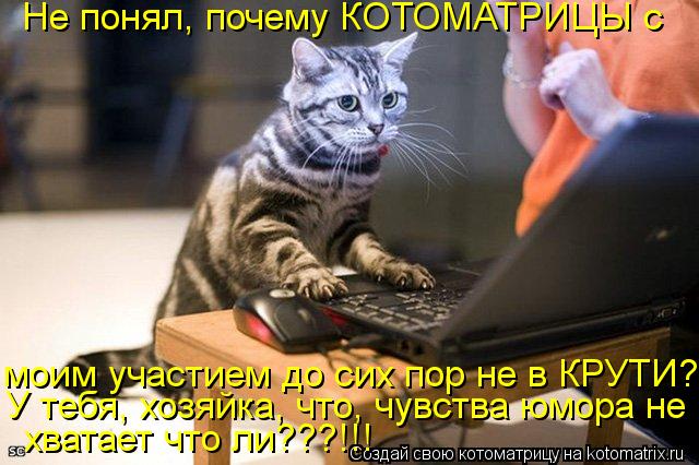 Котоматрица: моим участием до сих пор не в КРУТИ? хватает что ли???!!! Не понял, почему КОТОМАТРИЦЫ с У тебя, хозяйка, что, чувства юмора не