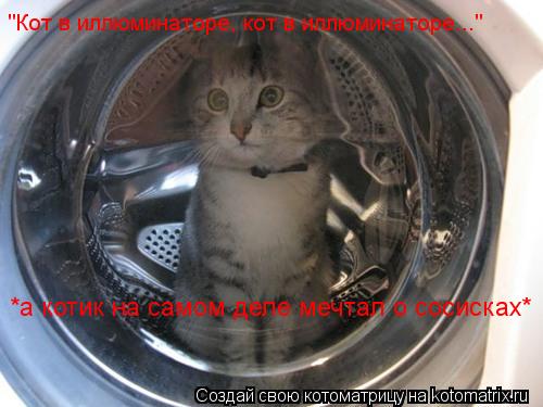 "Кот в иллюминаторе, кот в иллюминаторе..." *а котик на самом деле мечтал о сосисках*... Котоматрица: "Кот в иллюминаторе, кот в иллюминаторе..." *а котик на самом деле мечтал о сосисках*