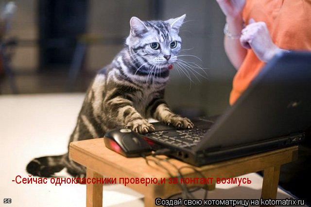 -Сейчас одноклассники проверю,и за контакт возмусь... Котоматрица: -Сейчас одноклассники проверю,и за контакт возмусь