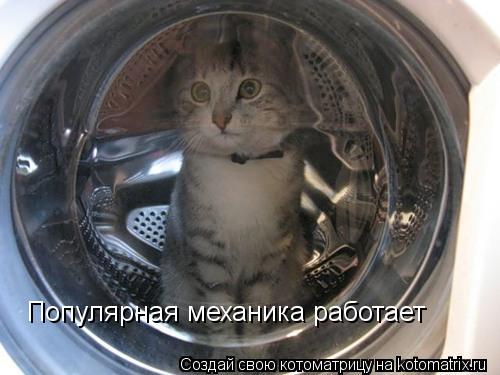 Популярная механика работает... Котоматрица: Популярная механика работает