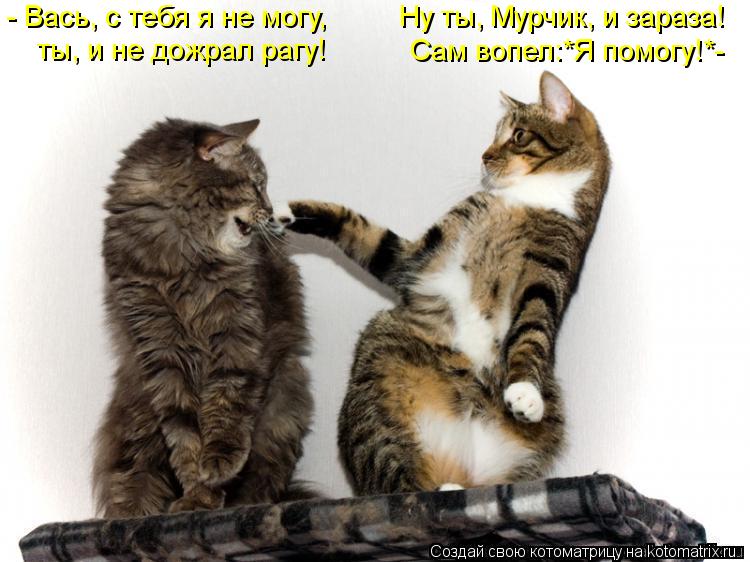 - Вась, с тебя я не могу, Сам вопел:*Я помогу!*- Ну ты, Мурчик, и зараза! ты, и не дожрал рагу!... Котоматрица: - Вась, с тебя я не могу, Сам вопел:*Я помогу!*- Ну ты, Мурчик, и зараза! ты, и не дожрал рагу!