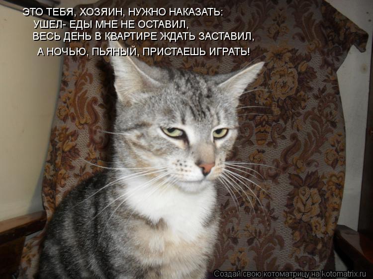 ЭТО ТЕБЯ, ХОЗЯИН, НУЖНО НАКАЗАТЬ: УШЕЛ- ЕДЫ МНЕ НЕ ОСТАВИЛ, ВЕСЬ ДЕНЬ В КВАРТИРЕ ЖДАТЬ ЗАСТАВИЛ, А НО... Котоматрица: ЭТО ТЕБЯ, ХОЗЯИН, НУЖНО НАКАЗАТЬ: УШЕЛ- ЕДЫ МНЕ НЕ ОСТАВИЛ, ВЕСЬ ДЕНЬ В КВАРТИРЕ ЖДАТЬ ЗАСТАВИЛ, А НОЧЬЮ, ПЬЯНЫЙ, ПРИСТАЕШЬ ИГРАТЬ!