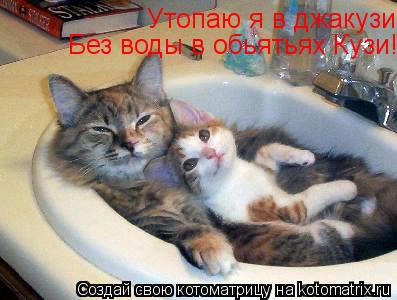 Утопаю я в джакузи Без воды в обьятьях Кузи!... Котоматрица: Утопаю я в джакузи Без воды в обьятьях Кузи!
