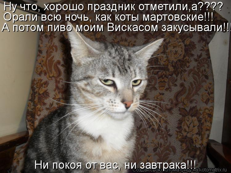 Ну что, хорошо праздник отметили,а???? А потом пиво моим Вискасом закусывали!!! Орали всю ночь, как к... Котоматрица: Ну что, хорошо праздник отметили,а???? А потом пиво моим Вискасом закусывали!!! Орали всю ночь, как коты мартовские!!! Ни покоя от вас, ни завтра