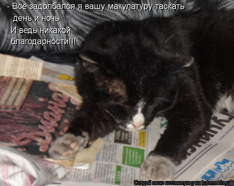 - Всё задолбался я вашу макулатуру таскать день и ночь И ведь никакой благодарности!!!... Котоматрица: - Всё задолбался я вашу макулатуру таскать день и ночь И ведь никакой благодарности!!!
