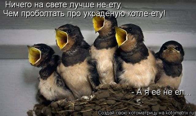 Ничего на свете лучше не-ету, Чем проболтать про украденую котле-ету! - А я её не ел...... Котоматрица: Ничего на свете лучше не-ету, Чем проболтать про украденую котле-ету! - А я её не ел...
