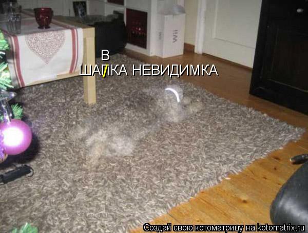 ШАПКА НЕВИДИМКА / В... Котоматрица: ШАПКА НЕВИДИМКА / В