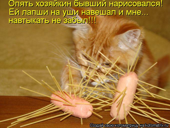 Опять хозяйкин бывший нарисовался! Ей лапши на уши навешал и мне... навтыкать не забыл!!!... Котоматрица: Опять хозяйкин бывший нарисовался! Ей лапши на уши навешал и мне... навтыкать не забыл!!!