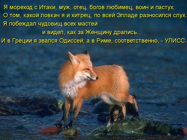 Я мореход с Итаки, муж, отец, богов любимец, воин и пастух. О том, какой ловкач я и хитрец, по всей Э... Котоматрица: Я мореход с Итаки, муж, отец, богов любимец, воин и пастух. О том, какой ловкач я и хитрец, по всей Элладе разносился слух. Я побеждал чудовищ в