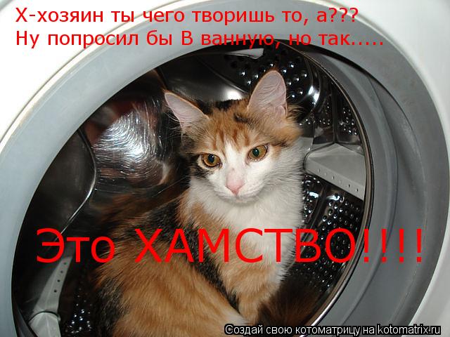 Х-хозяин ты чего творишь то, а??? Ну попросил бы В ванную, но так..... Это ХАМСТВО!!!!... Котоматрица: Х-хозяин ты чего творишь то, а??? Ну попросил бы В ванную, но так..... Это ХАМСТВО!!!!