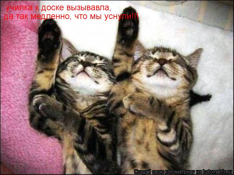 училка к доске вызывавла, да так медленно, что мы уснули!!!... Котоматрица: училка к доске вызывавла, да так медленно, что мы уснули!!!