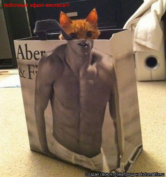 побочный эфект вискаса!!!... Котоматрица: побочный эфект вискаса!!!