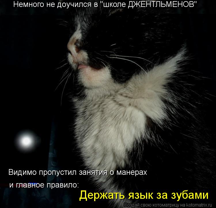 Немного не доучился в "школе ДЖЕНТЛЬМЕНОВ" Видимо пропустил занятия о манерах и главное правило: Держ... Котоматрица: Немного не доучился в "школе ДЖЕНТЛЬМЕНОВ" Видимо пропустил занятия о манерах и главное правило: Держать язык за зубами