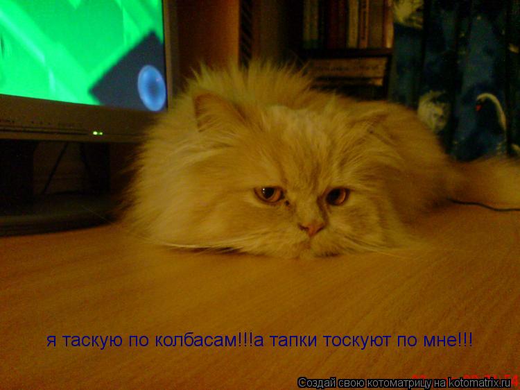 я таскую по колбасам!!!а тапки тоскуют по мне!!!... Котоматрица: я таскую по колбасам!!!а тапки тоскуют по мне!!!