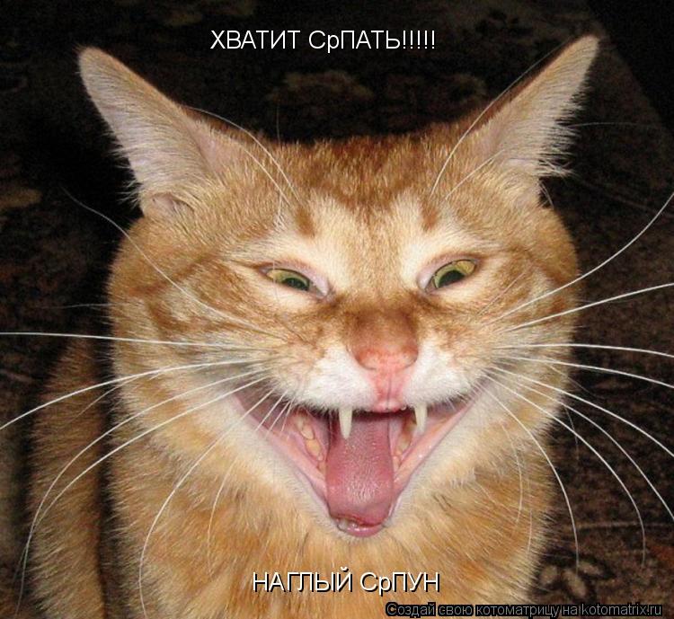 ХВАТИТ СрПАТЬ!!!!! НАГЛЫЙ СрПУН... Котоматрица: ХВАТИТ СрПАТЬ!!!!! НАГЛЫЙ СрПУН