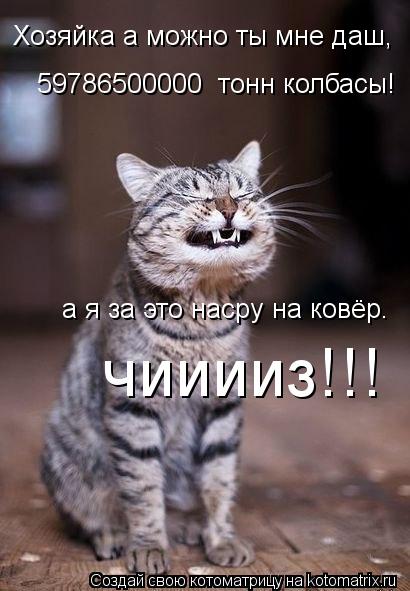 Хозяйка а можно ты мне даш, 59786500000 тонн колбасы! а я за это насру на ковёр. чииииз!!!... Котоматрица: Хозяйка а можно ты мне даш, 59786500000 тонн колбасы! а я за это насру на ковёр. чииииз!!!