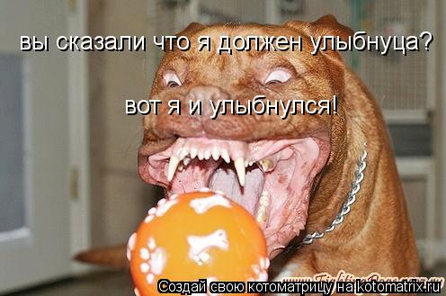 вы сказали что я должен улыбнуца? вот я и улыбнулся!... Котоматрица: вы сказали что я должен улыбнуца? вот я и улыбнулся!
