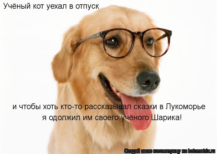 Учёный кот уехал в отпуск и чтобы хоть кто-то рассказывал сказки в Лукоморье я одолжил им своего учён... Котоматрица: Учёный кот уехал в отпуск и чтобы хоть кто-то рассказывал сказки в Лукоморье я одолжил им своего учёного Шарика!