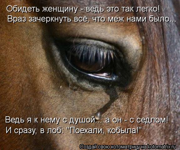 Обидеть женщину - ведь это так легко! Враз зачеркнуть всё, что меж нами было..… Ведь я к нему с душой... Котоматрица: Обидеть женщину - ведь это так легко! Враз зачеркнуть всё, что меж нами было..… Ведь я к нему с душой..… а он - с седлом! И сразу, в лоб: "Поехали,