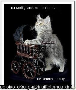 ты моё дитечко не тронь. питачину порву... Котоматрица: ты моё дитечко не тронь. питачину порву