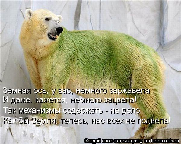 Земная ось, у вас, немного заржавела И даже, кажется, немного зацвела! Так механизмы содержа... Котоматрица: Земная ось, у вас, немного заржавела И даже, кажется, немного зацвела! Так механизмы содержать - не дело Как бы Земля, теперь, нас всех не