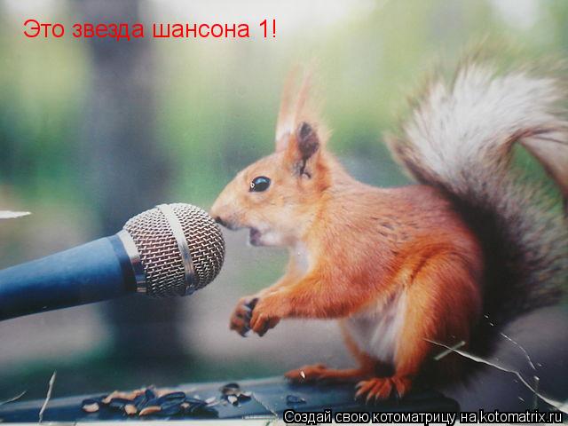 Это звезда шансона№1!... Котоматрица: Это звезда шансона№1!