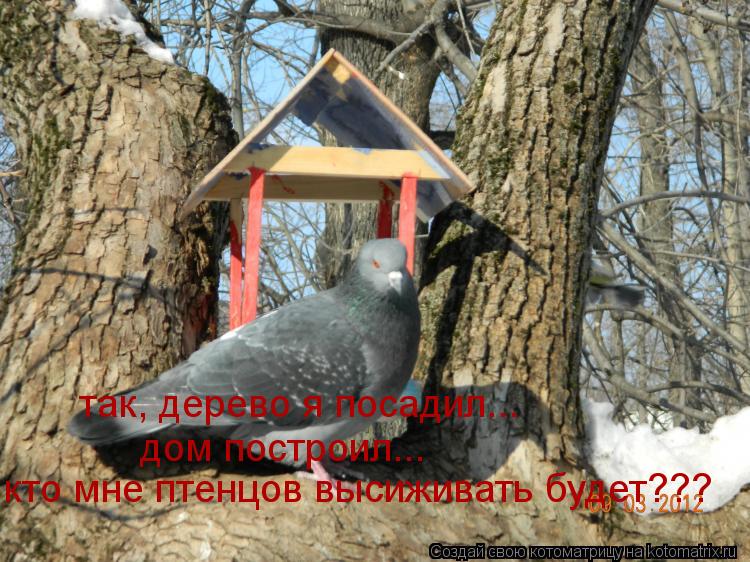 так, дерево я посадил... дом построил... кто мне птенцов высиживать будет???... Котоматрица: так, дерево я посадил... дом построил... кто мне птенцов высиживать будет???