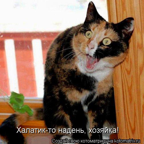 Халатик-то надень, хозяйка!... Котоматрица: Халатик-то надень, хозяйка!