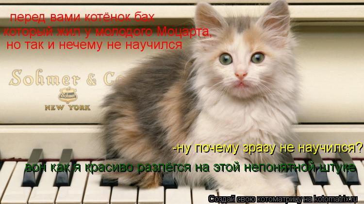 перед вами котёнок бах который жил у молодого Моцарта, но так и нечему не научился -ну почему зразу ... Котоматрица: перед вами котёнок бах который жил у молодого Моцарта, но так и нечему не научился -ну почему зразу не научился? вон как я красиво разлёгся н