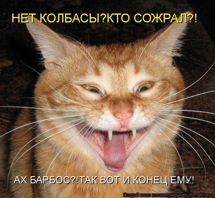 НЕТ КОЛБАСЫ?КТО СОЖРАЛ?! АХ БАРБОС?!ТАК ВОТ И КОНЕЦ ЕМУ!... Котоматрица: НЕТ КОЛБАСЫ?КТО СОЖРАЛ?! АХ БАРБОС?!ТАК ВОТ И КОНЕЦ ЕМУ!