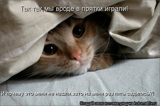Так так,мы вроде в прятки играли! И почему это меня не нашли,зато на меня раз пять садились?!... Котоматрица: Так так,мы вроде в прятки играли! И почему это меня не нашли,зато на меня раз пять садились?!