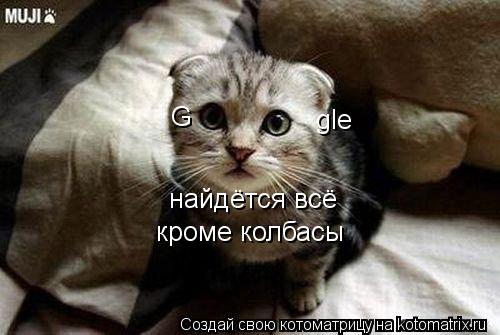 gle G найдётся всё кроме колбасы... Котоматрица: gle G найдётся всё кроме колбасы