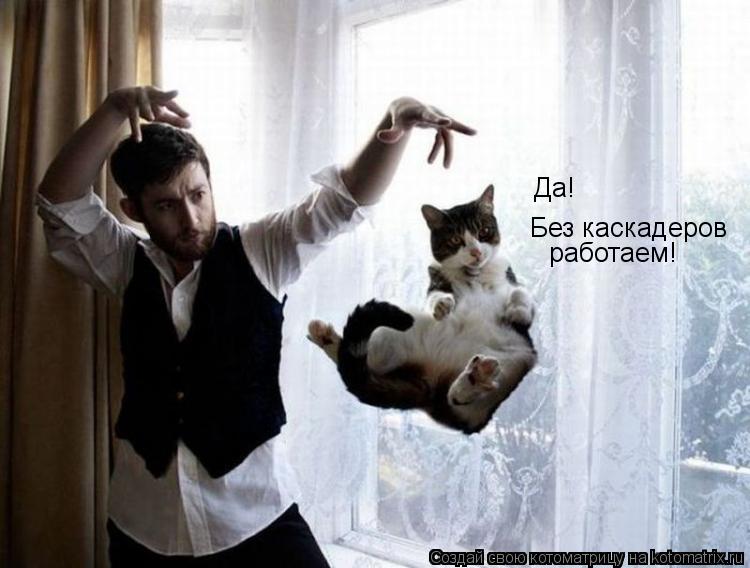 Да! Без каскадеров работаем!... Котоматрица: Да! Без каскадеров работаем!