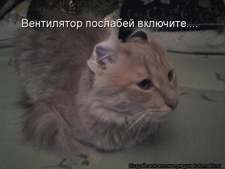 Вентилятор послабей включите....... Котоматрица: Вентилятор послабей включите....