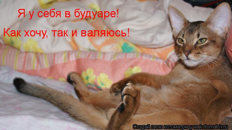 Я у себя в будуаре! Как хочу, так и валяюсь!... Котоматрица: Я у себя в будуаре! Как хочу, так и валяюсь!