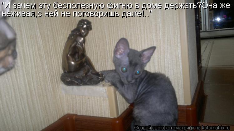 "И зачем эту бесполезную фигню в доме держать?Она же неживая,с ней не поговоришь даже!.."... Котоматрица: "И зачем эту бесполезную фигню в доме держать?Она же неживая,с ней не поговоришь даже!.."