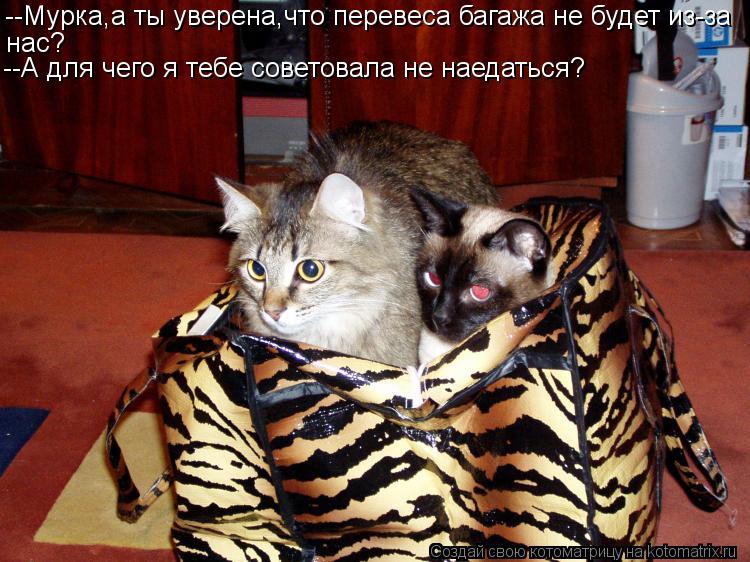 --Мурка,а ты уверена,что перевеса багажа не будет из-за нас? --А для чего я тебе советовала не наедат... Котоматрица: --Мурка,а ты уверена,что перевеса багажа не будет из-за нас? --А для чего я тебе советовала не наедаться?